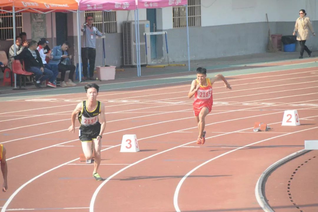  多特蒙德青春风暴席卷赛场，年轻阵容创造佳绩